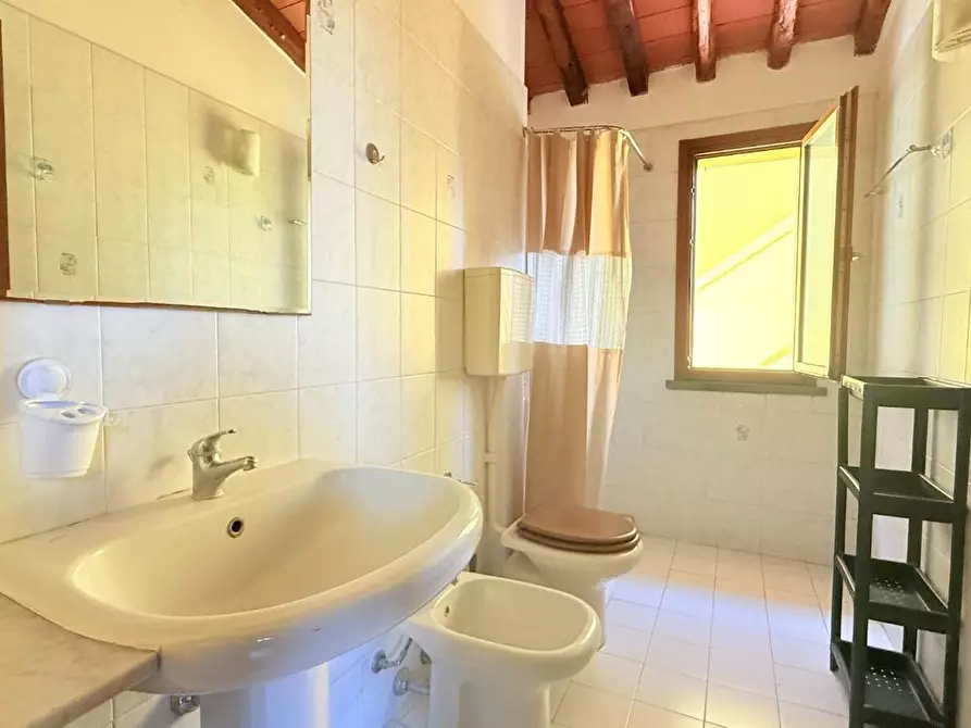 Immagine 11 di Appartamento in vendita  a Massa E Cozzile