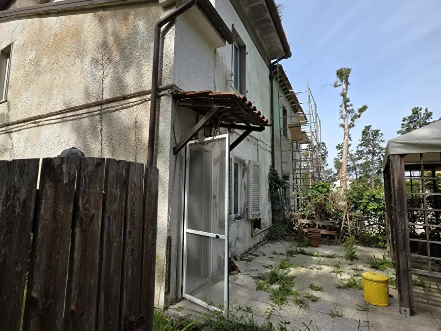 Immagine 6 di Terratetto in vendita  a Orciano Pisano