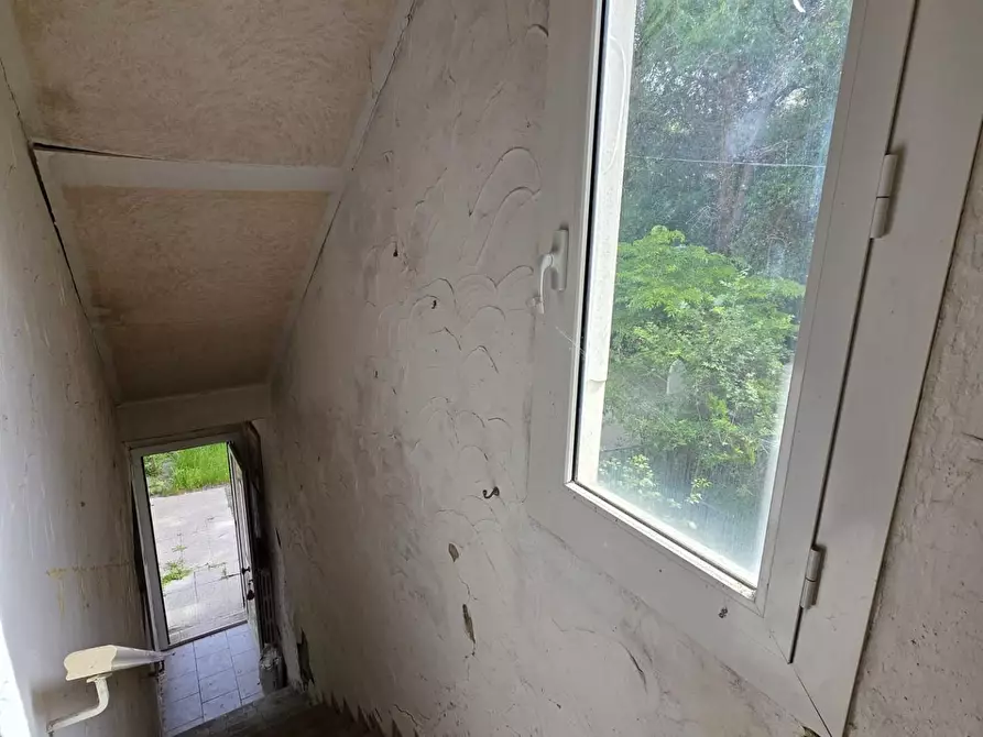 Immagine 25 di Terratetto in vendita  a Orciano Pisano