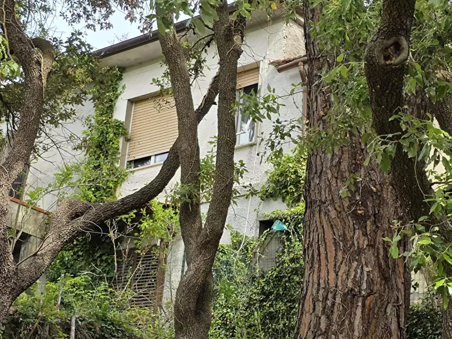 Immagine 5 di Terratetto in vendita  a Orciano Pisano