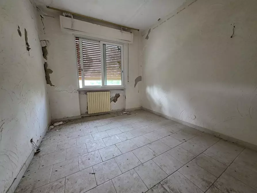 Immagine 27 di Terratetto in vendita  a Orciano Pisano