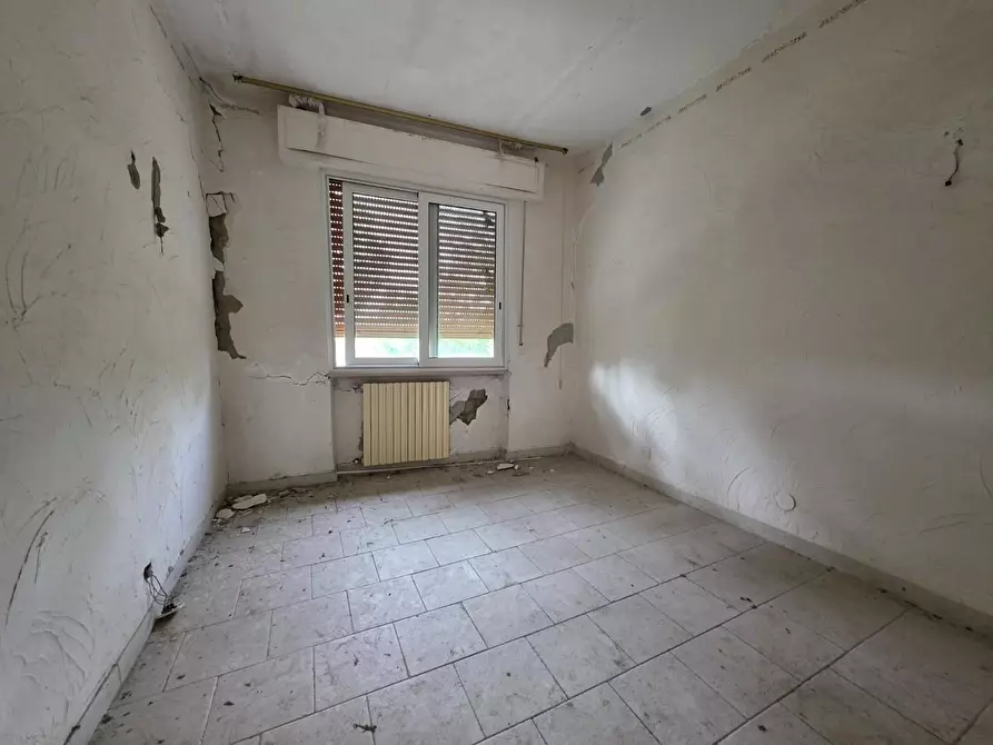 Immagine 30 di Terratetto in vendita  a Orciano Pisano