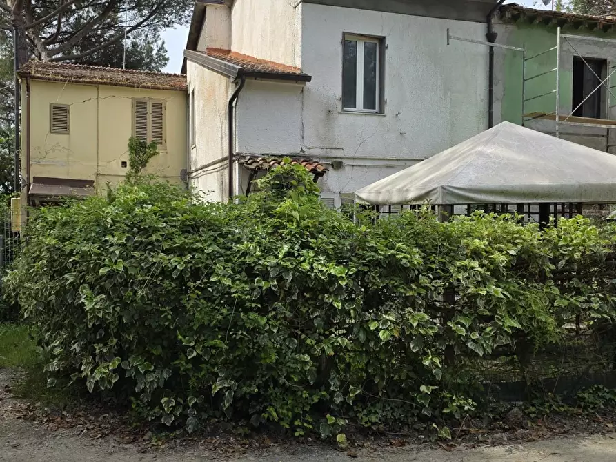 Immagine 1 di Terratetto in vendita  a Orciano Pisano