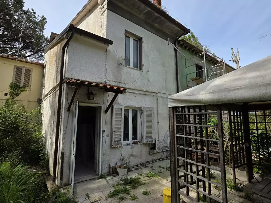 Immagine 9 di Terratetto in vendita  a Orciano Pisano