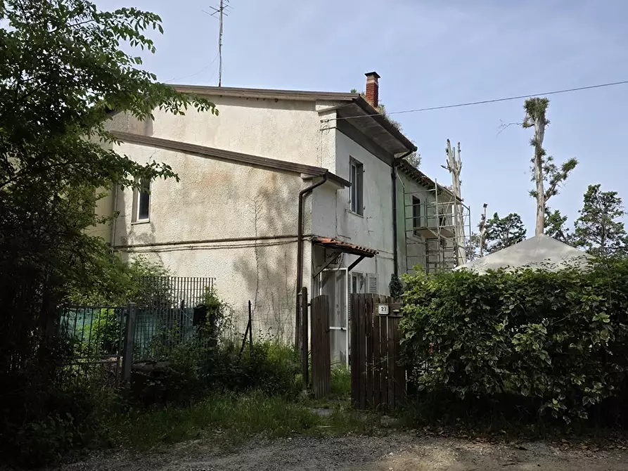 Immagine 2 di Terratetto in vendita  a Orciano Pisano