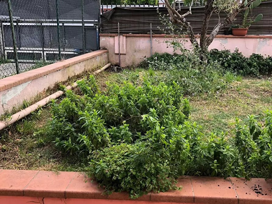 Immagine 6 di Casa semindipendente in vendita  a Carrara