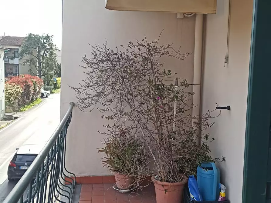 Immagine 12 di Terratetto in vendita  a Lucca