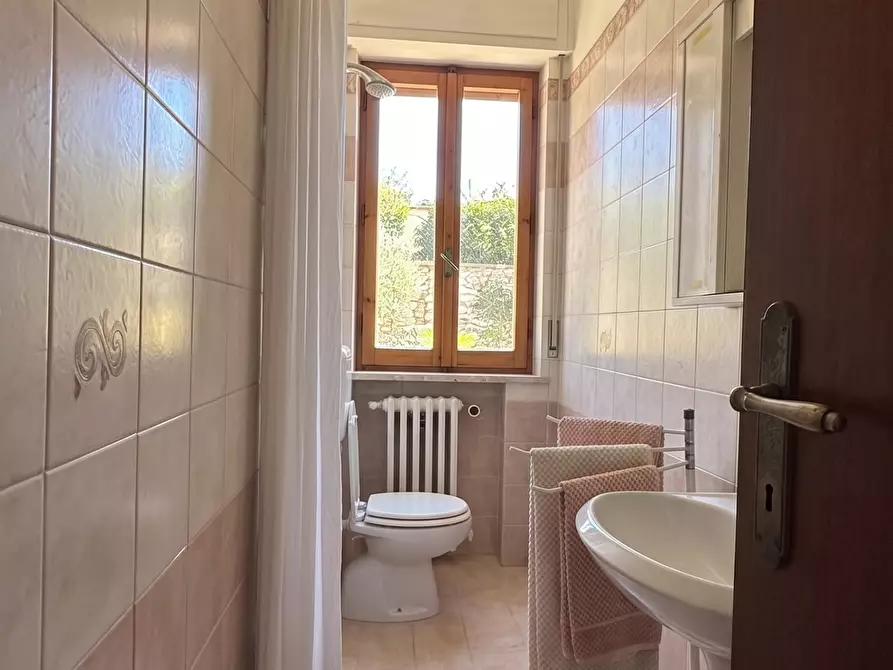 Immagine 17 di Casa indipendente in vendita  a Buti
