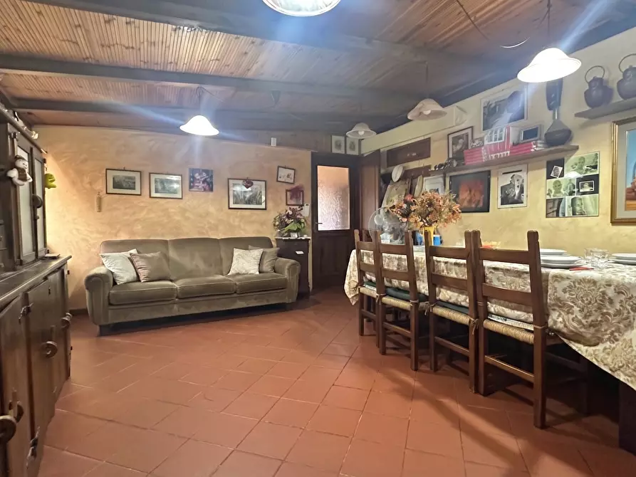 Immagine 33 di Casa indipendente in vendita  a Buti