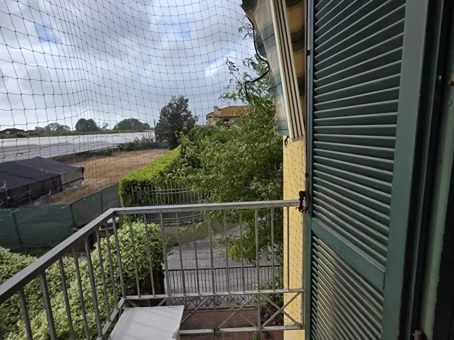 Immagine 29 di Appartamento in vendita  a Viareggio