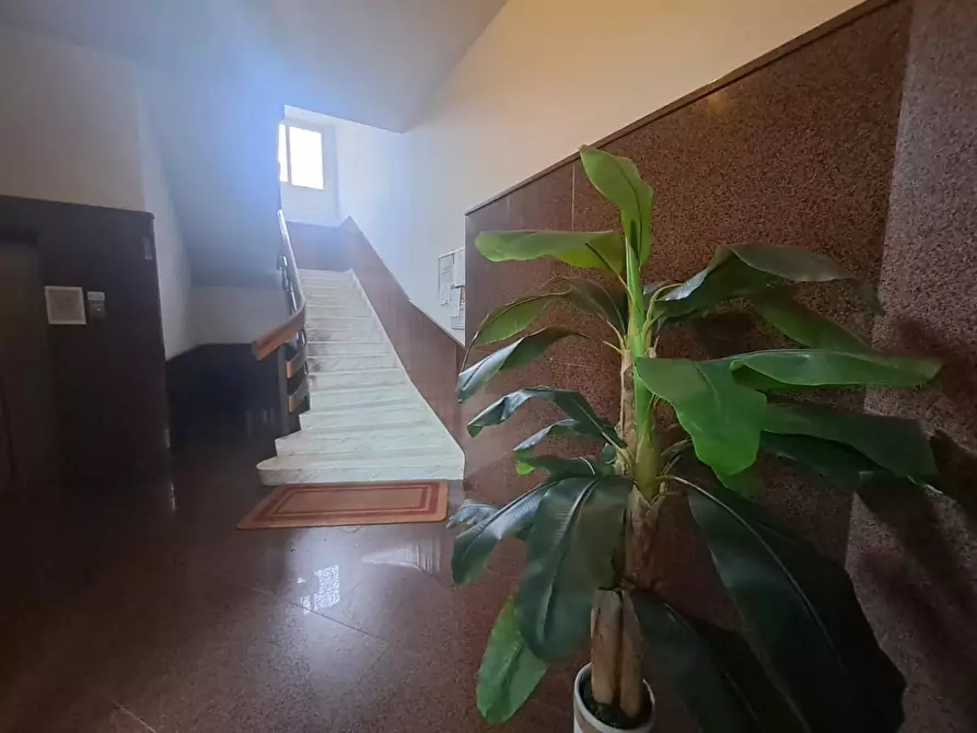 Immagine 12 di Appartamento in vendita  a Massa
