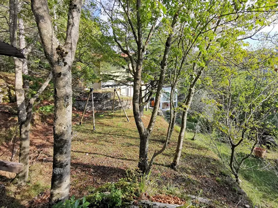 Immagine 11 di Casa indipendente in vendita  a Massa