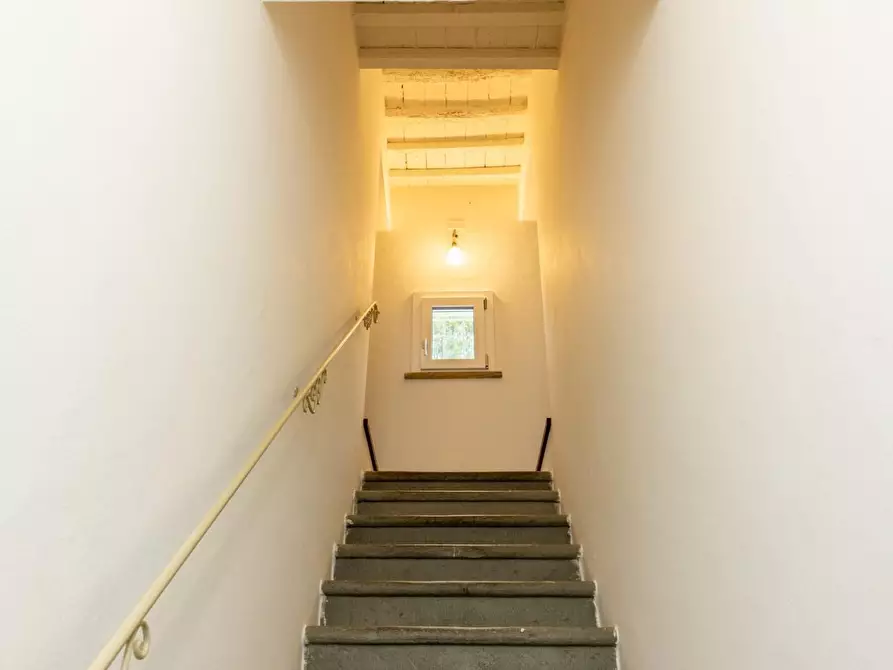 Immagine 22 di Rustico / casale in vendita  a Santa Maria A Monte