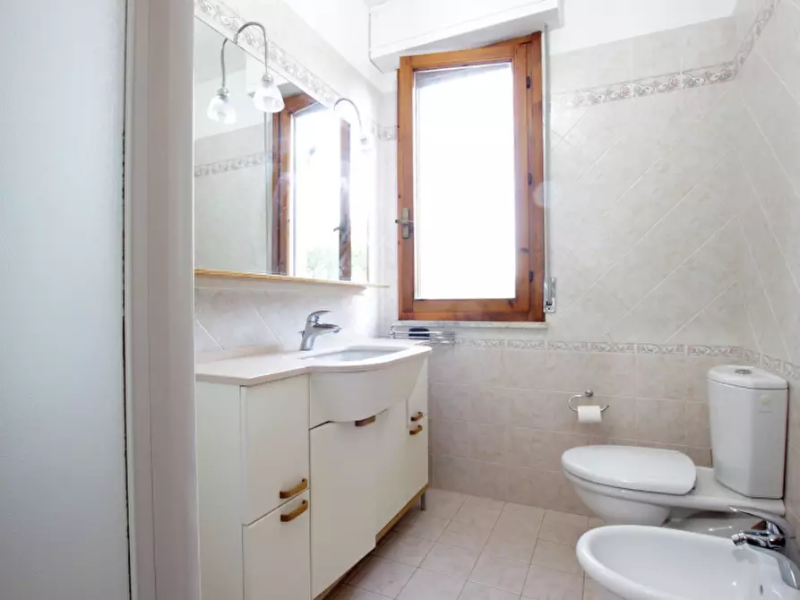 Immagine 9 di Appartamento in vendita  a Castelnuovo Berardenga