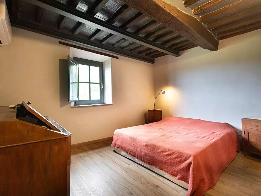 Immagine 17 di Rustico / casale in vendita  a Lucca