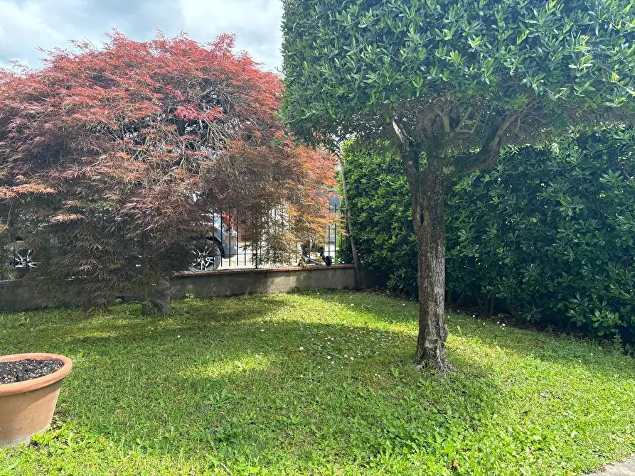Immagine 73 di Appartamento in vendita  a Lucca
