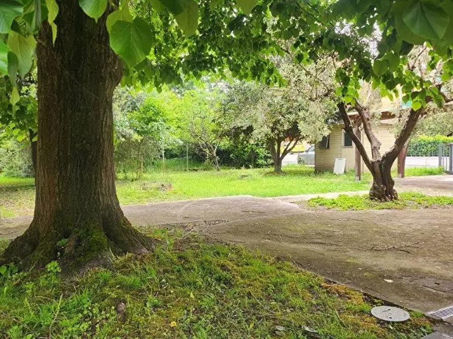 Immagine 5 di Casa indipendente in vendita  a Calcinaia