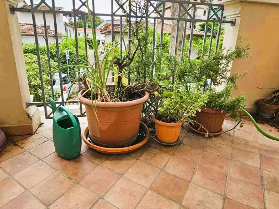 Immagine 18 di Appartamento in vendita  a Massa