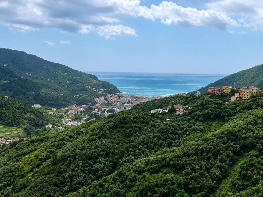Immagine 3 di Terratetto in vendita  a Levanto