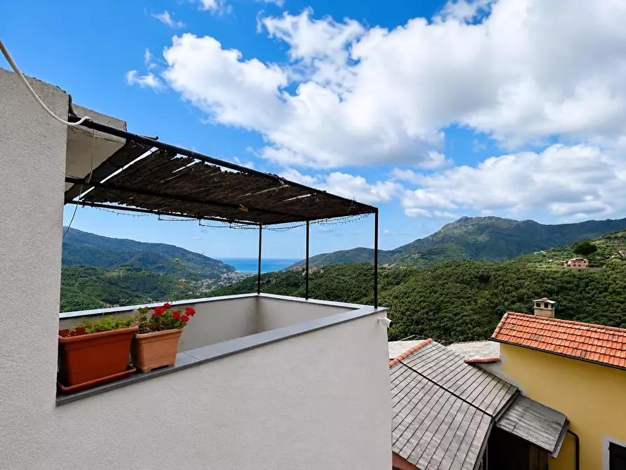 Immagine 22 di Terratetto in vendita  a Levanto