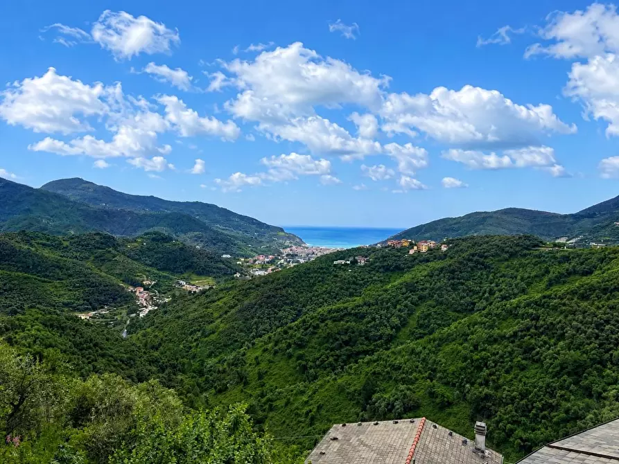 Immagine 23 di Terratetto in vendita  a Levanto