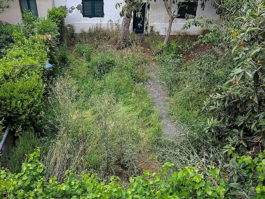 Immagine 4 di Terratetto in vendita  a Empoli