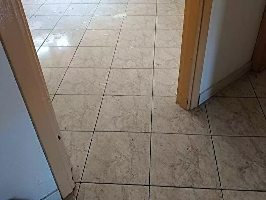 Immagine 21 di Appartamento in vendita  a Frascarolo