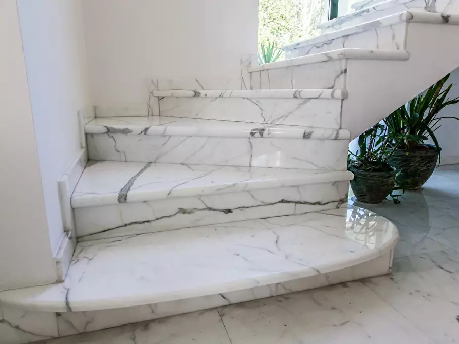 Immagine 18 di Villa in vendita  a Massa