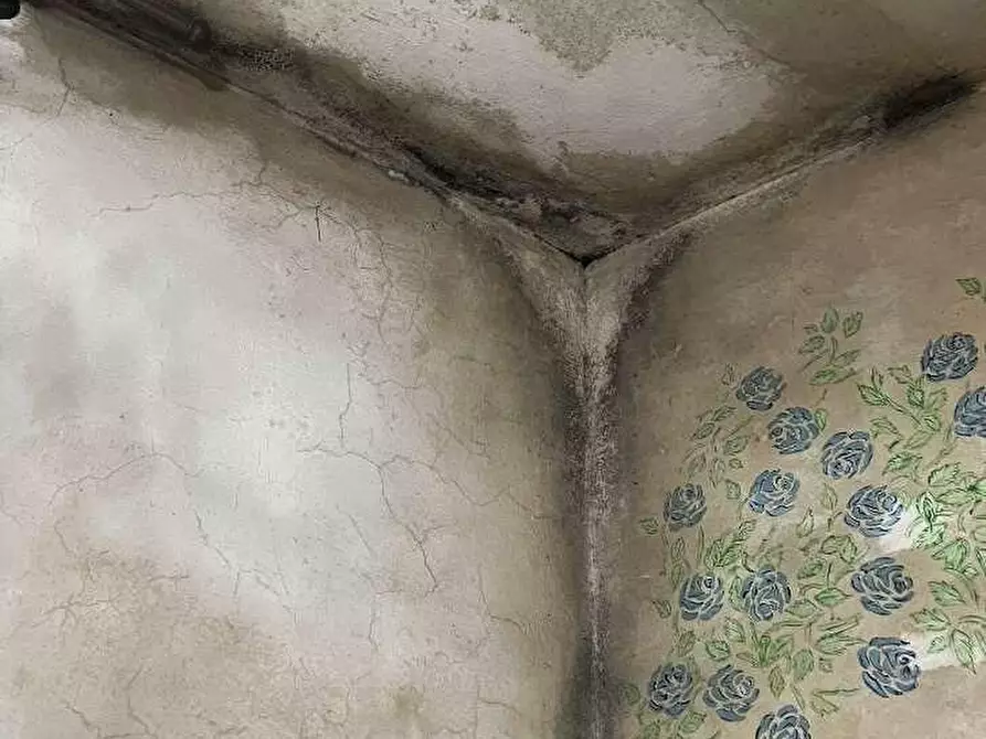 Immagine 28 di Appartamento in vendita  a Palestro