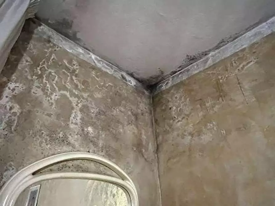 Immagine 22 di Appartamento in vendita  a Palestro