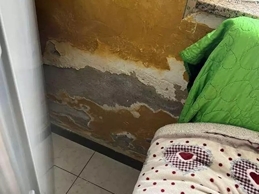 Immagine 11 di Appartamento in vendita  a Palestro