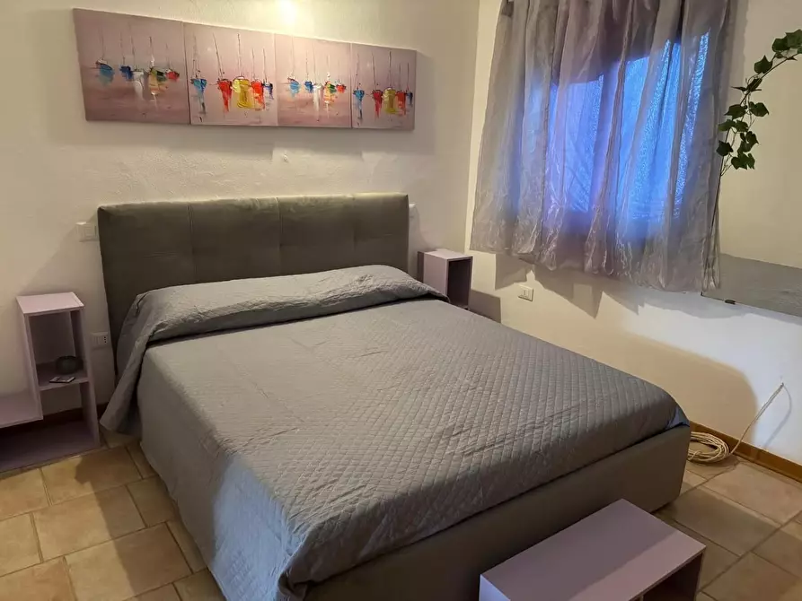 Immagine 4 di Appartamento in vendita  a Montescudaio