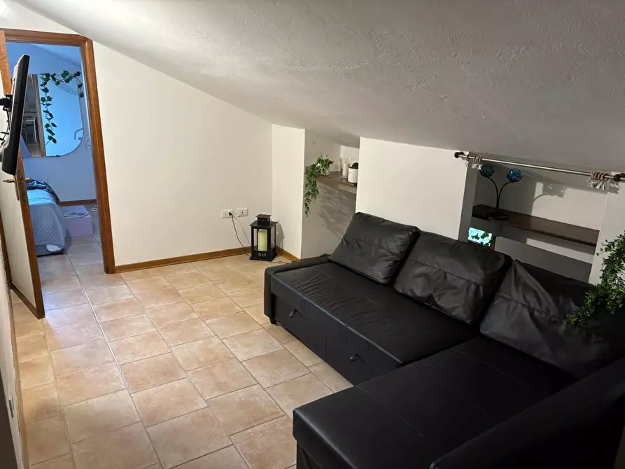 Immagine 14 di Appartamento in vendita  a Montescudaio