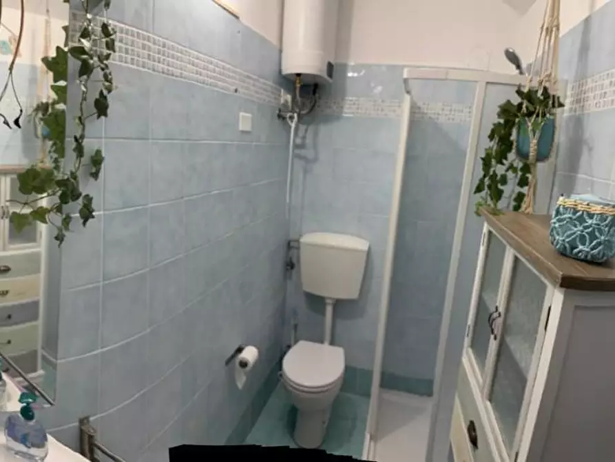 Immagine 11 di Appartamento in vendita  a Montescudaio