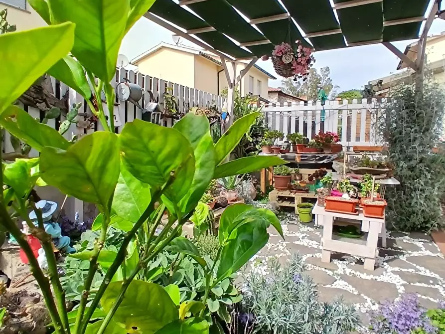 Immagine 10 di Villetta a schiera in vendita  a Campiglia Marittima
