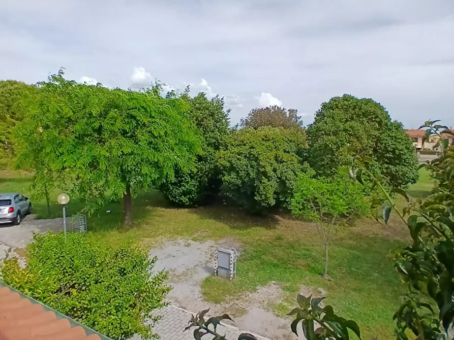 Immagine 6 di Villetta a schiera in vendita  a Campiglia Marittima