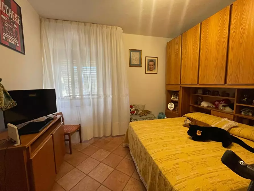Immagine 22 di Terratetto in vendita  a Capannori