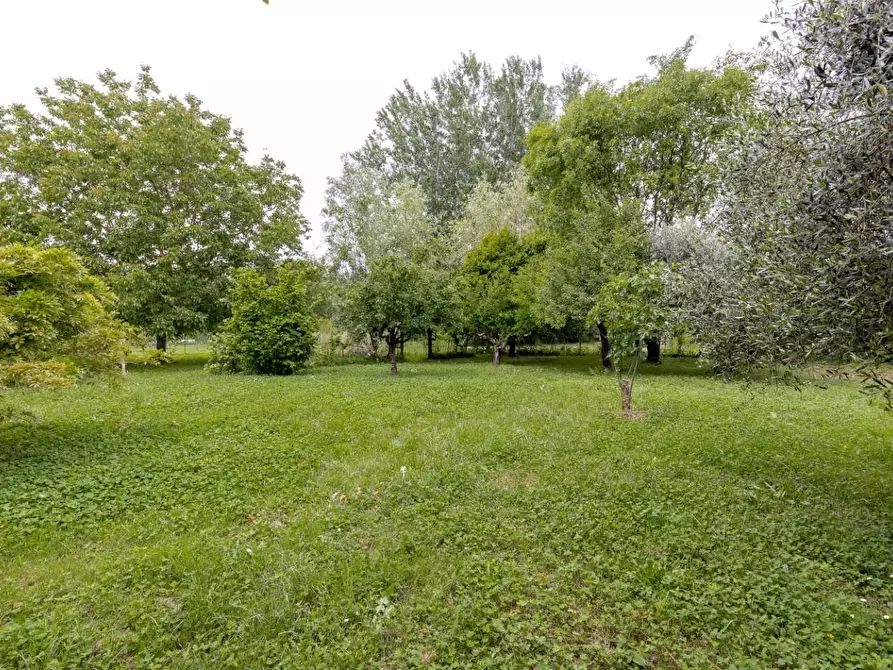 Immagine 30 di Villa in vendita  a Lucca