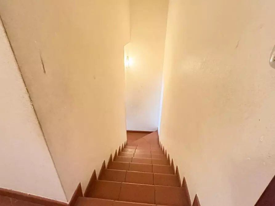 Immagine 9 di Terratetto in vendita  a Lucca