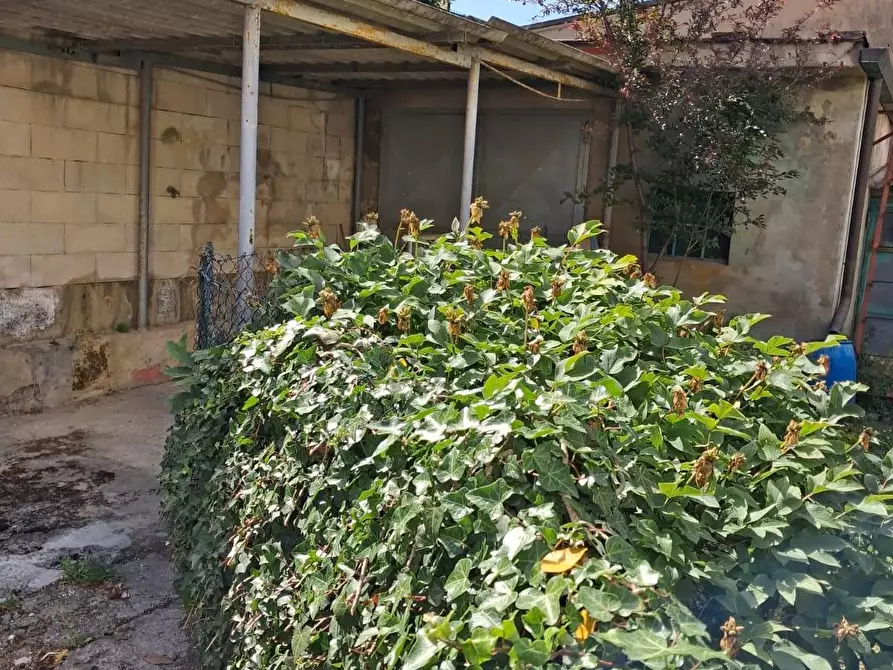 Immagine 28 di Appartamento in vendita  a Capannoli