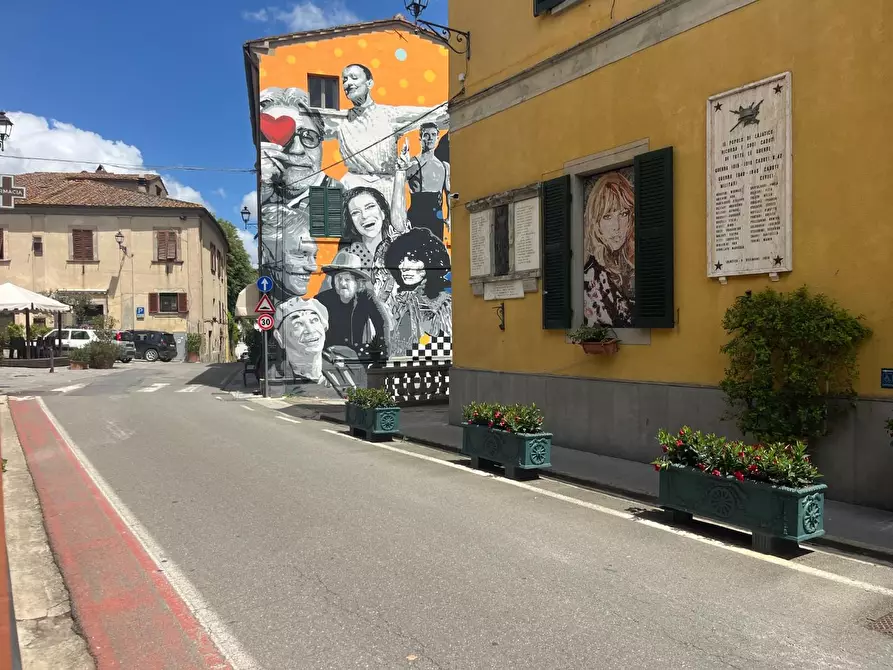 Immagine 19 di Appartamento in vendita  a Lajatico