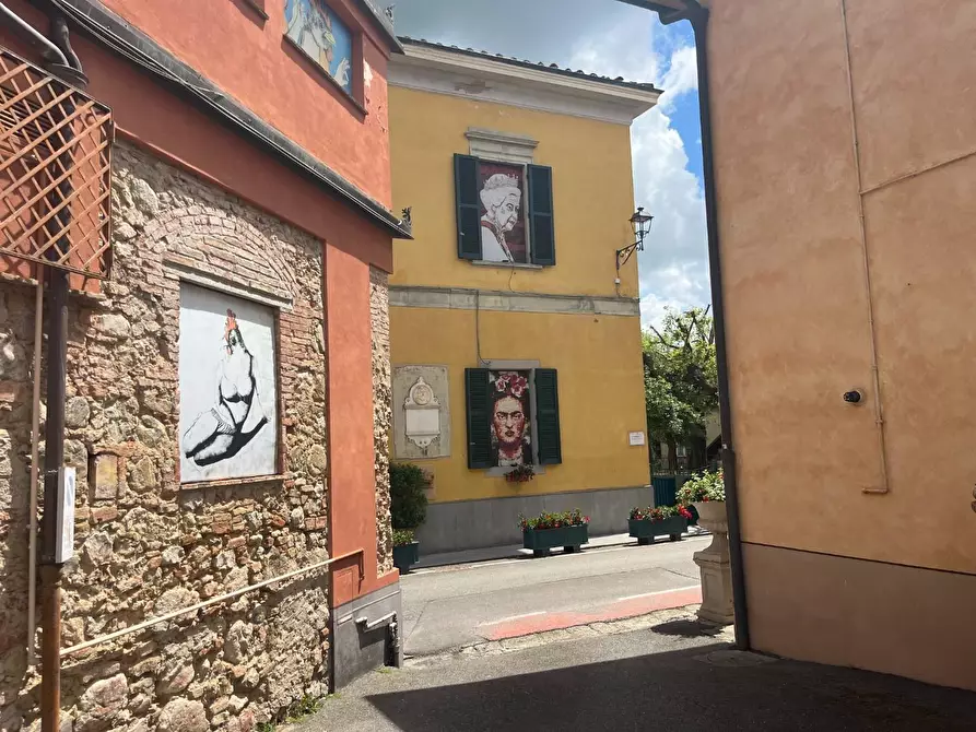 Immagine 18 di Appartamento in vendita  a Lajatico