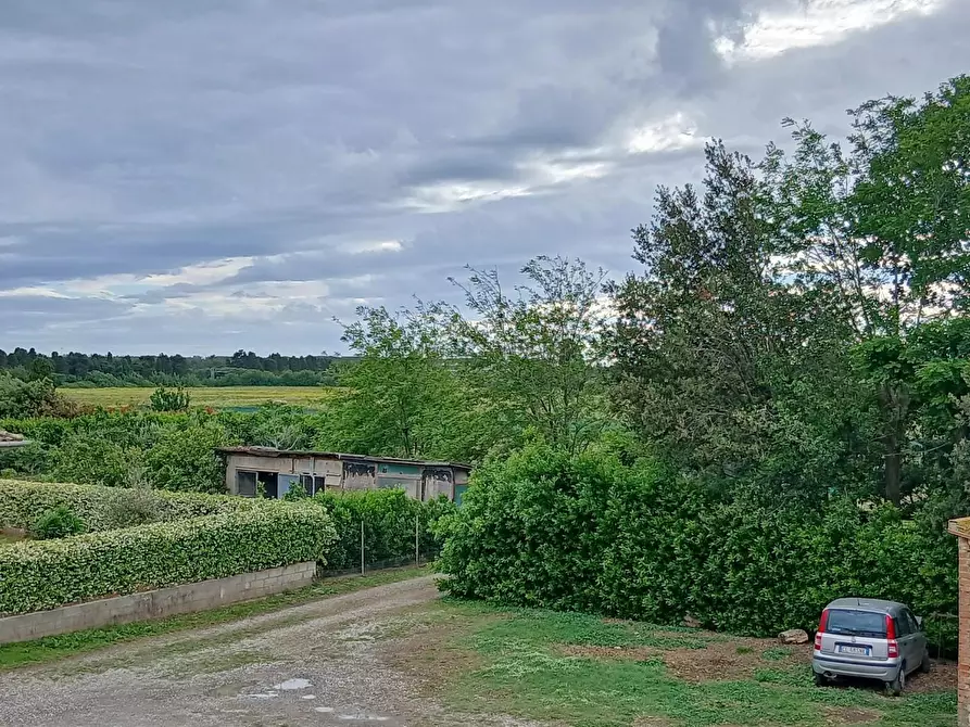 Immagine 27 di Terratetto in vendita  a Rosignano Marittimo