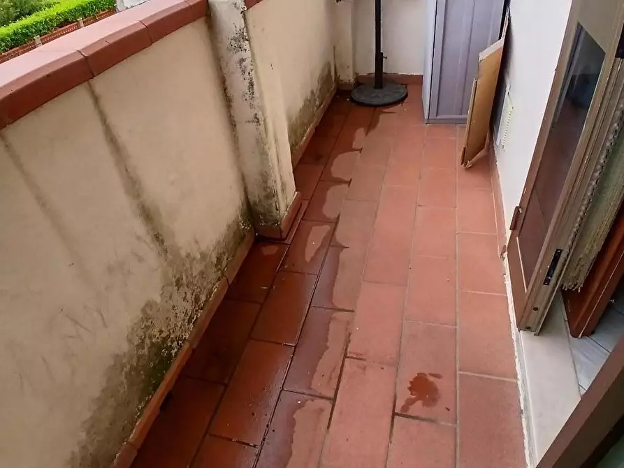 Immagine 29 di Terratetto in vendita  a Rosignano Marittimo