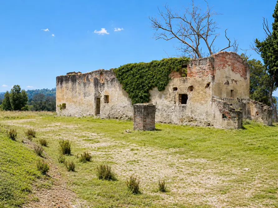 Immagine 6 di Casa colonica in vendita  a Palaia