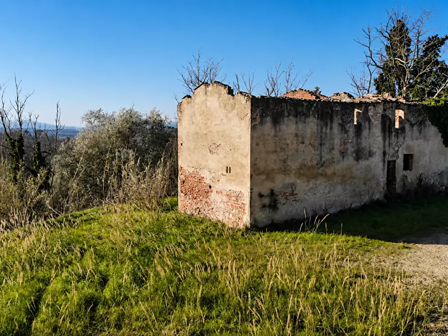 Immagine 10 di Casa colonica in vendita  a Palaia