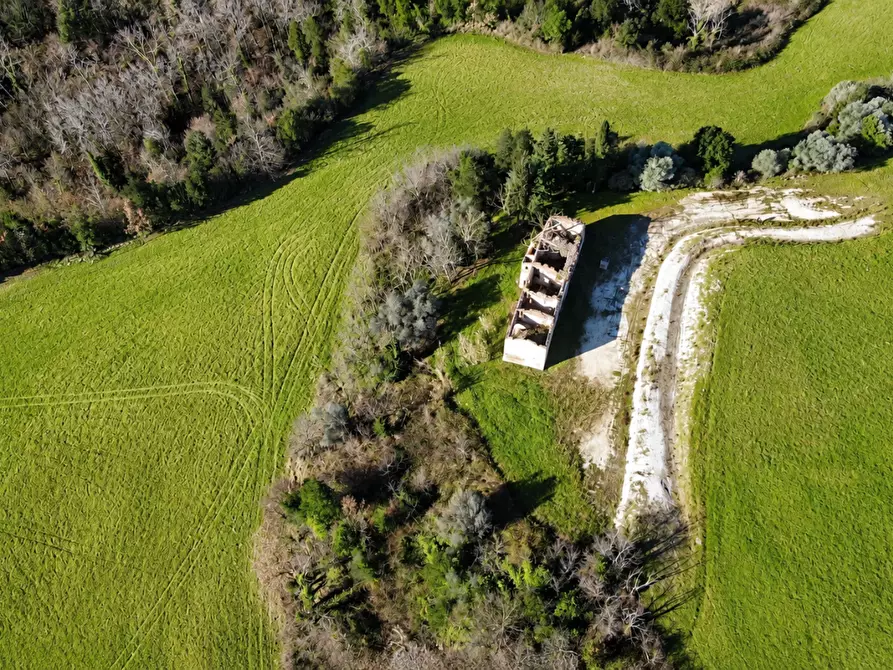 Immagine 4 di Casa colonica in vendita  a Palaia