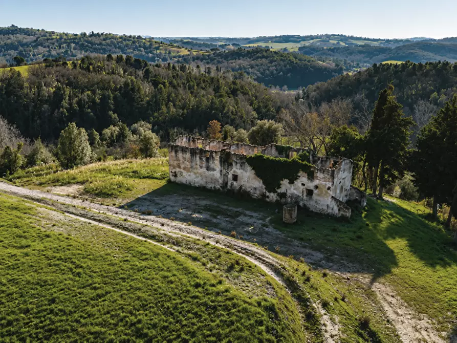 Immagine 1 di Casa colonica in vendita  a Palaia