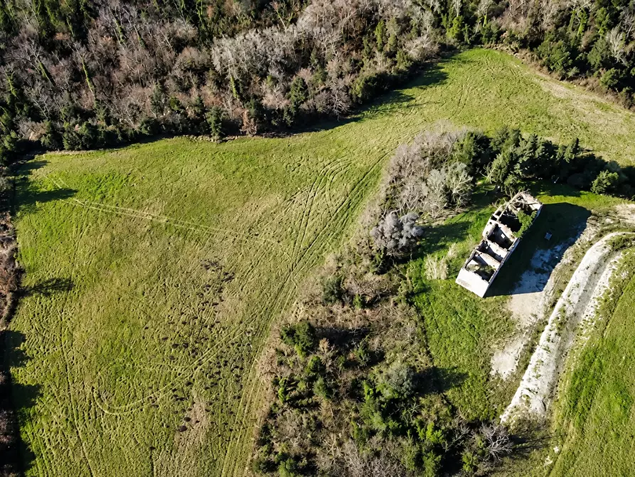 Immagine 8 di Casa colonica in vendita  a Palaia