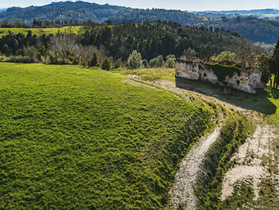 Immagine 2 di Casa colonica in vendita  a Palaia